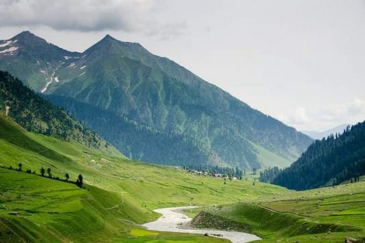 Himachal Trips